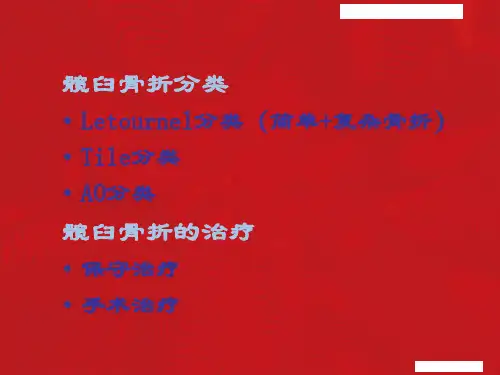 髋臼骨折的分类与治疗ppt