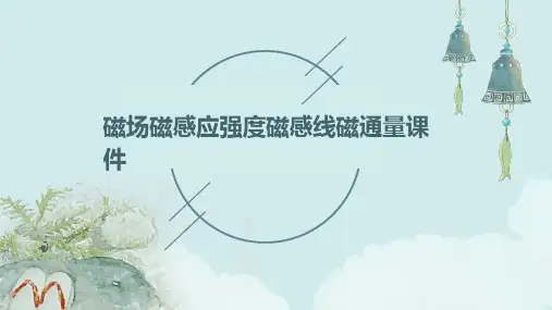 磁场磁感应强度磁感线磁通量课件