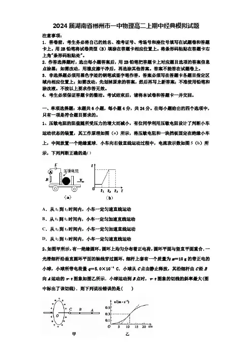 2024届湖南省郴州市一中物理高二上期中经典模拟试题含解析