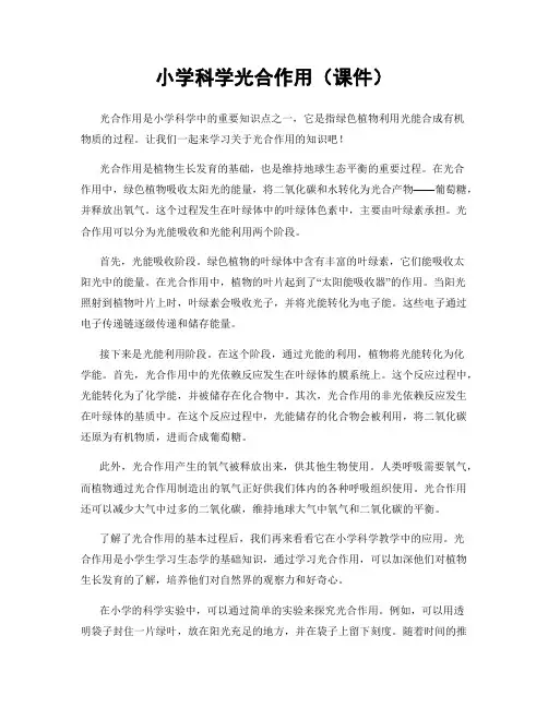 小学科学光合作用(课件)