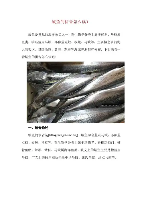 鲅鱼的拼音怎么读？