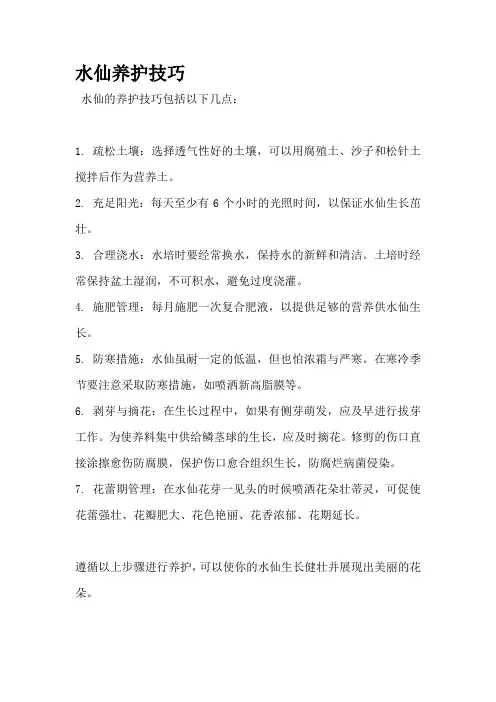 水仙养护技巧