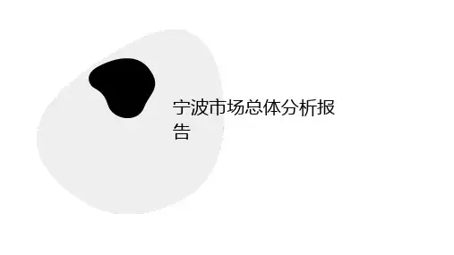 宁波市场总体分析报告