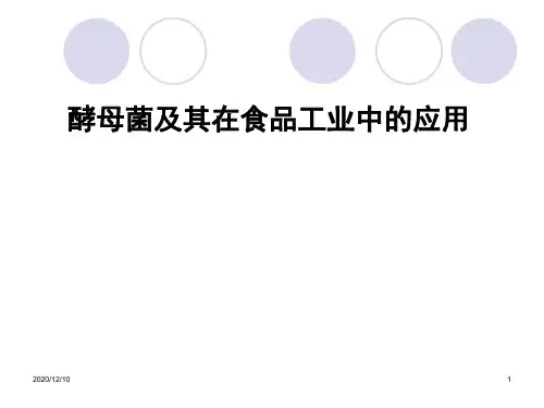 酵母菌及其在食品中的应用私人PPT教学课件