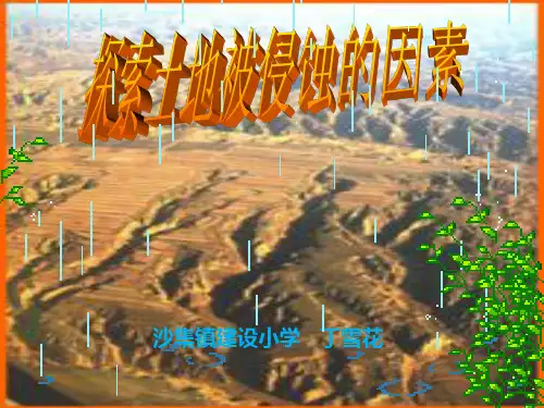 《探索土地被侵蚀的因素》PPT课件完美版1