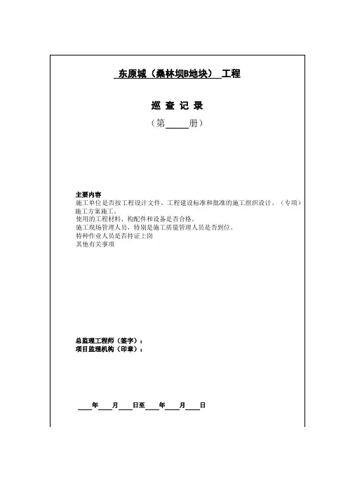 巡查检查记录表