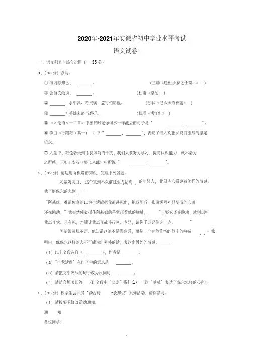 2020年-2021年安徽省中考语文试题含解析版