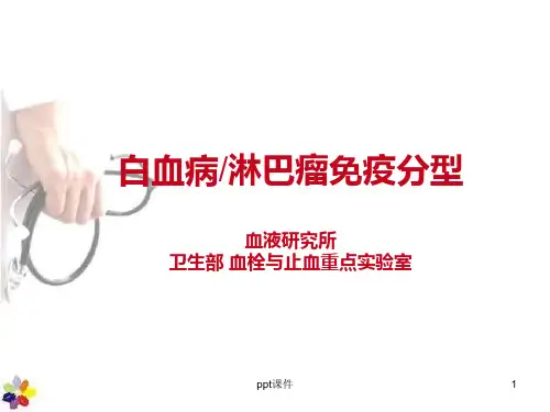 白血病淋巴瘤免疫分型  ppt课件