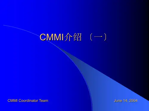 《CMMI培训资料一》PPT课件