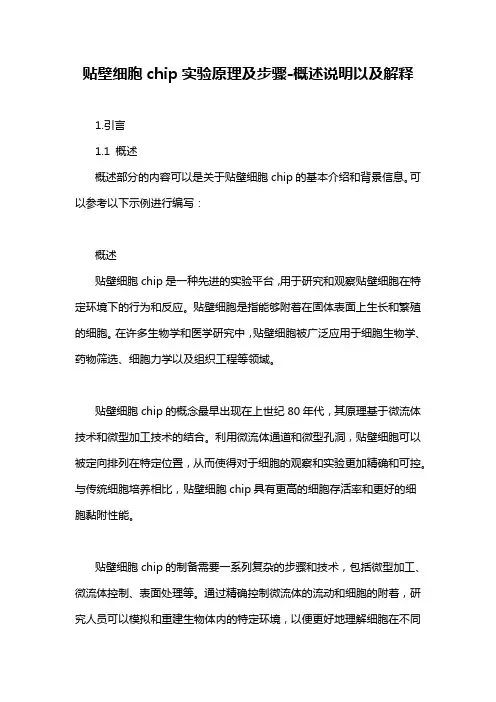 贴壁细胞chip实验原理及步骤-概述说明以及解释