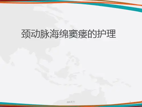 颈动脉海绵窦瘘的护理  ppt课件