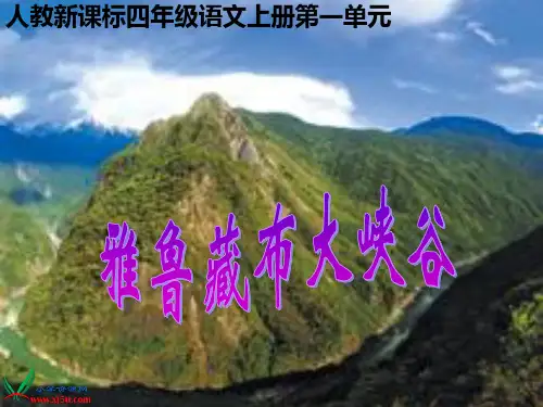 (人教新课标)四年级语文上册课件 雅鲁藏布大峡谷 3
