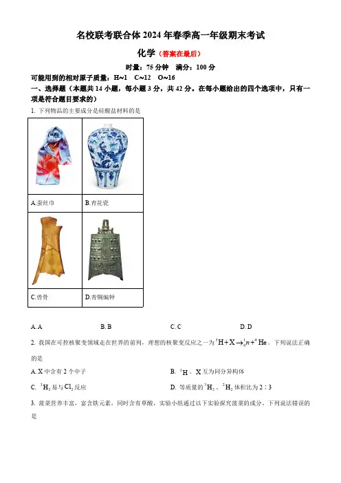 湖南省名校联考联合体2023-2024学年高一下学期期末考试化学试题含答案