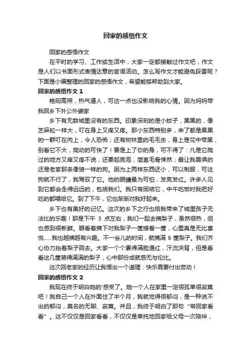 回家的感悟作文