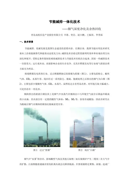 节能减排一体化技术---烟气深度净化及余热回收