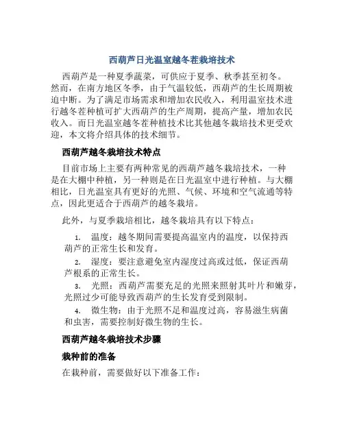 西葫芦日光温室越冬茬栽培技术