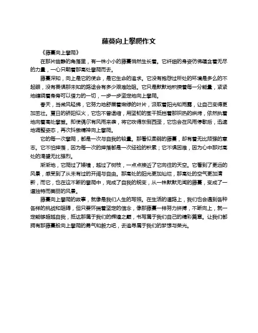 藤蔓向上攀爬作文