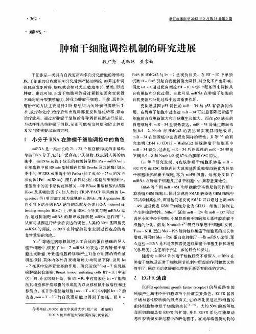 肿瘤干细胞调控机制的研究进展