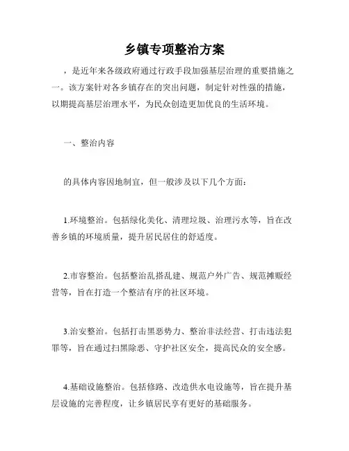 乡镇专项整治方案