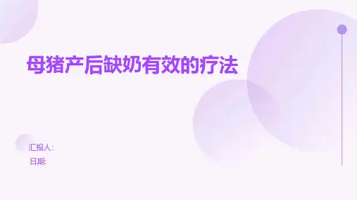 母猪产后缺奶有效的疗法