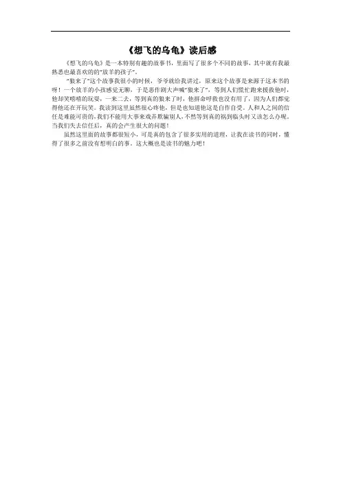 《想飞的乌龟》读后感