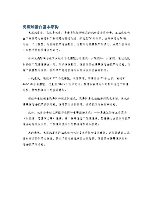 免疫球蛋白基本结构