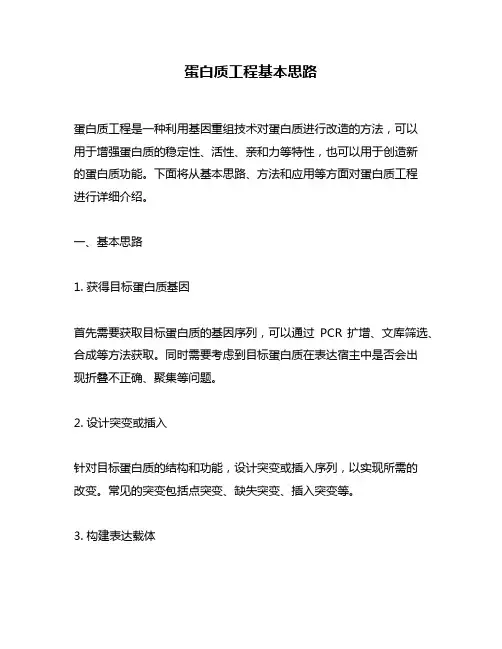 蛋白质工程基本思路