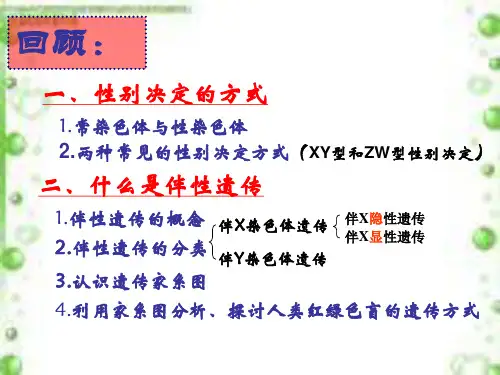 伴性遗传的特点
