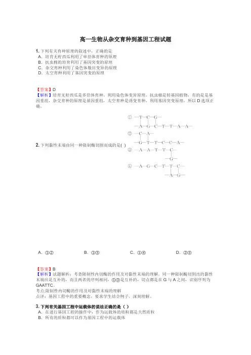 高一生物从杂交育种到基因工程试题
