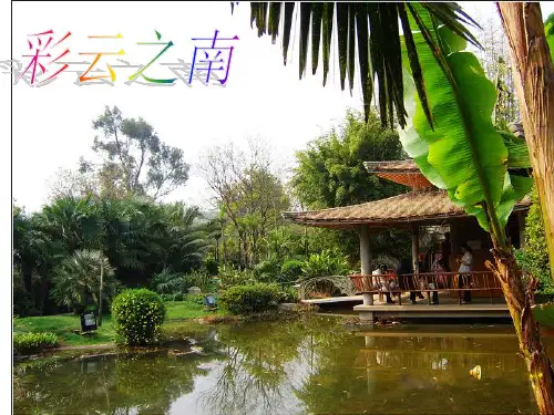 介绍云南的课件PPT。