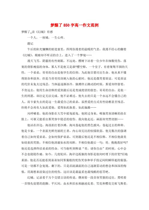 梦醒了850字高一作文范例