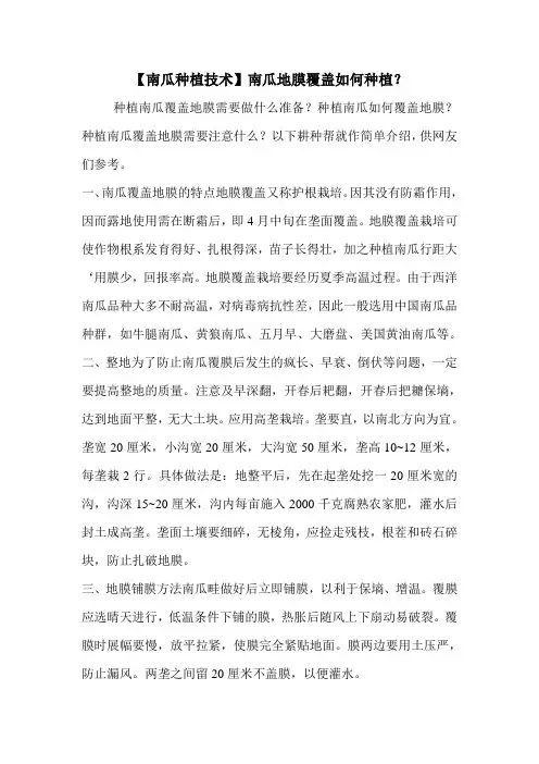 【南瓜种植技术】南瓜地膜覆盖如何种植？