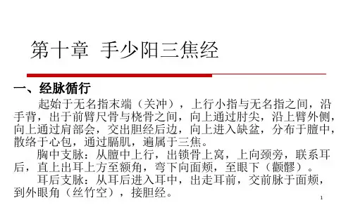 10手少阳三焦经
