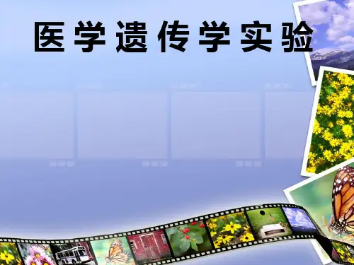 实验二孚尔根核染色