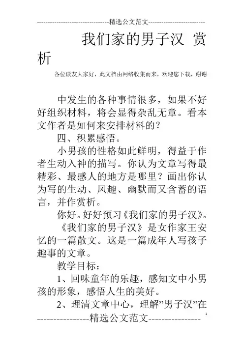 我们家的男子汉 赏析