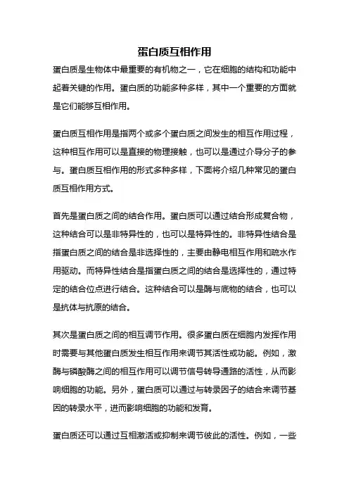蛋白质互相作用