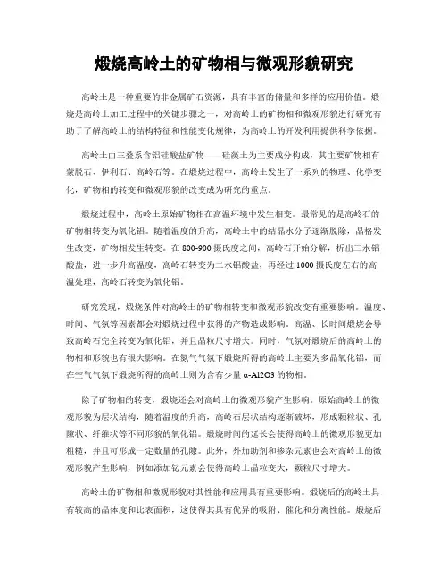 煅烧高岭土的矿物相与微观形貌研究
