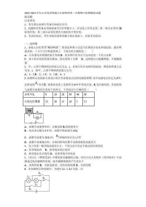 2023-2024学年山东菏泽郓城九年级物理第一学期期中检测模拟试题含解析