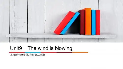 牛津版上海版七年级下册 Unit 9 The wind is blowing课件2