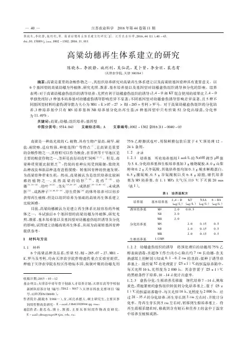 高粱幼穗再生体系建立的研究