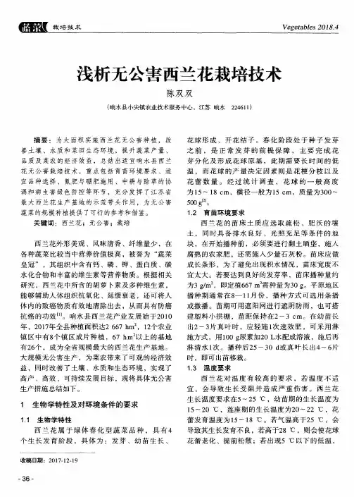 浅析无公害西兰花栽培技术