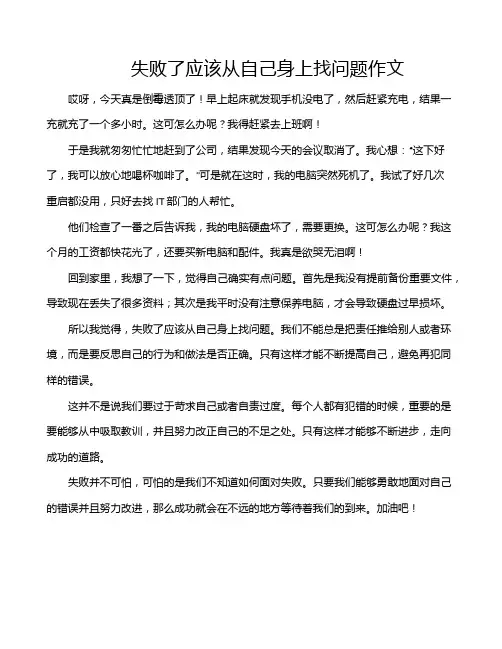 失败了应该从自己身上找问题作文
