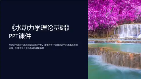 《水动力学理论基础》课件