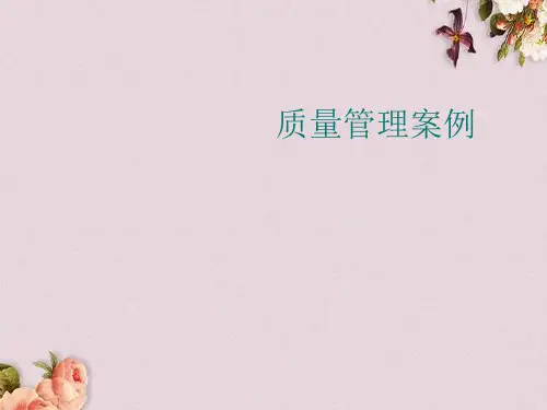 质量管理案例分析(ppt 23页)