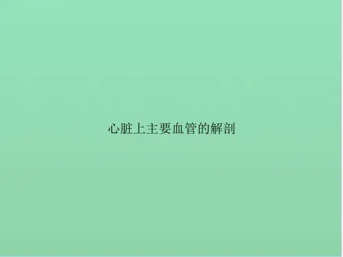 心脏上主要血管的解剖