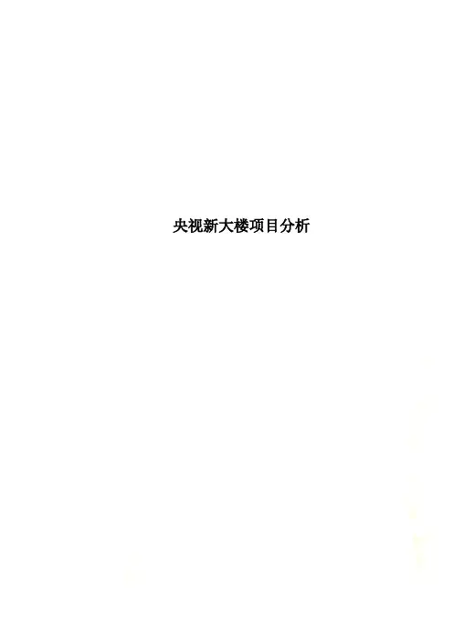 央视新大楼项目分析