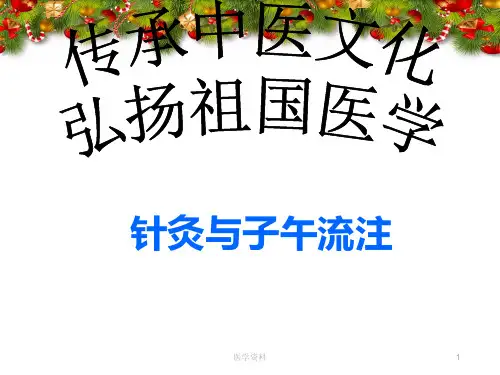 【中医】针灸与子午流注  ppt课件