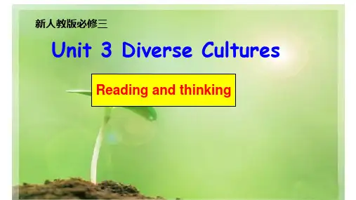 Unit3 Diverse Cultures Reading and Thinking课件