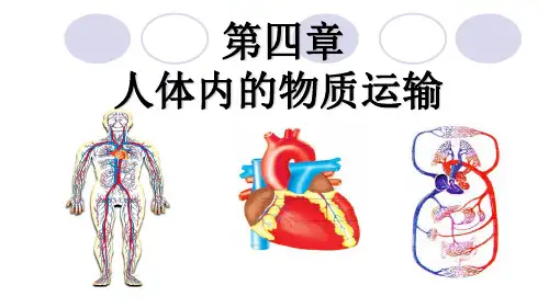初三生物血液,血管和心脏