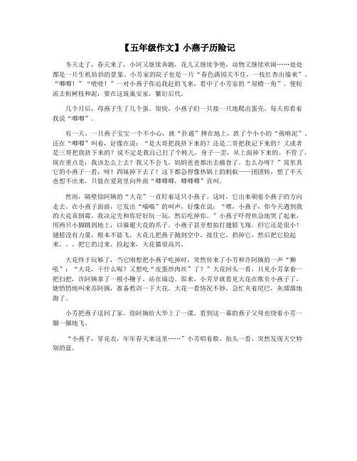 【五年级作文】小燕子历险记